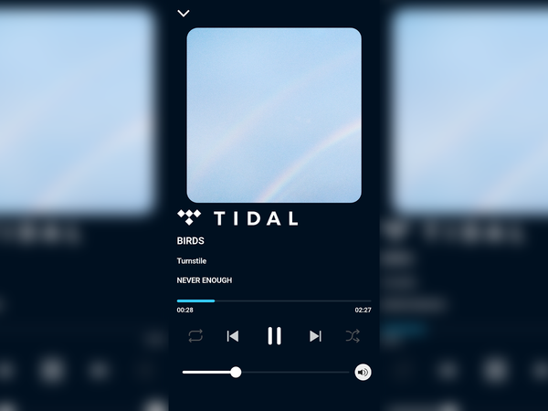 A digital screenshot of the Tidal music player interface showing the song 'Birds' by Turnstile from the album 'Never Enough'. The central player card is dark navy blue with white text and icons, set against a blurred background of the same app design.