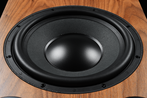 A close-up of a large black speaker woofer mounted on a wooden cabinet or panel.