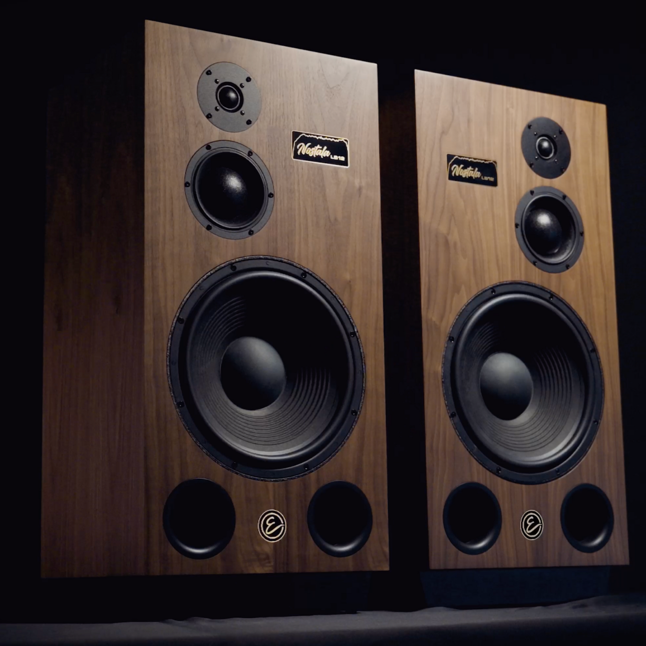 Pair of wooden speakers on a dark background