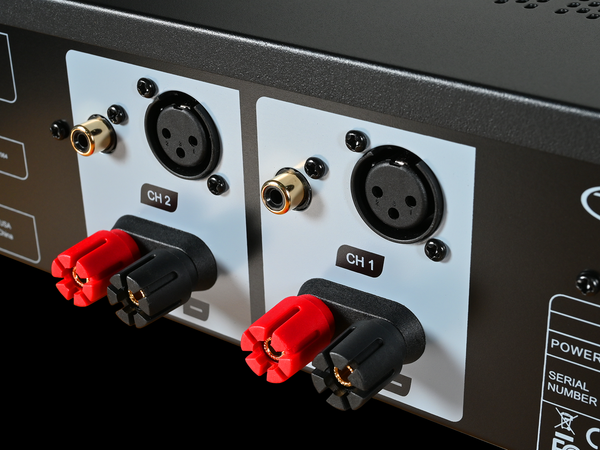 Closeup of XLR and RCA inputs on the BasX A2+ Amplifier