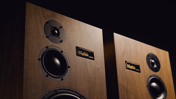 Pair of wooden speakers with visible brand logo on a dark background